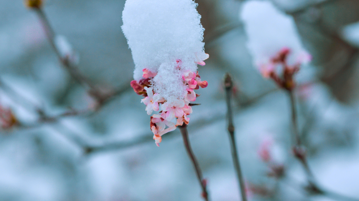 Our Favorite Winter Skincare Must-Haves