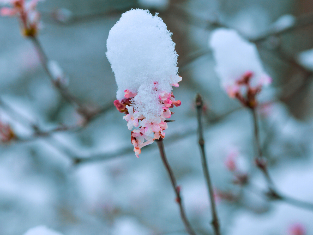 Our Favorite Winter Skincare Must-Haves