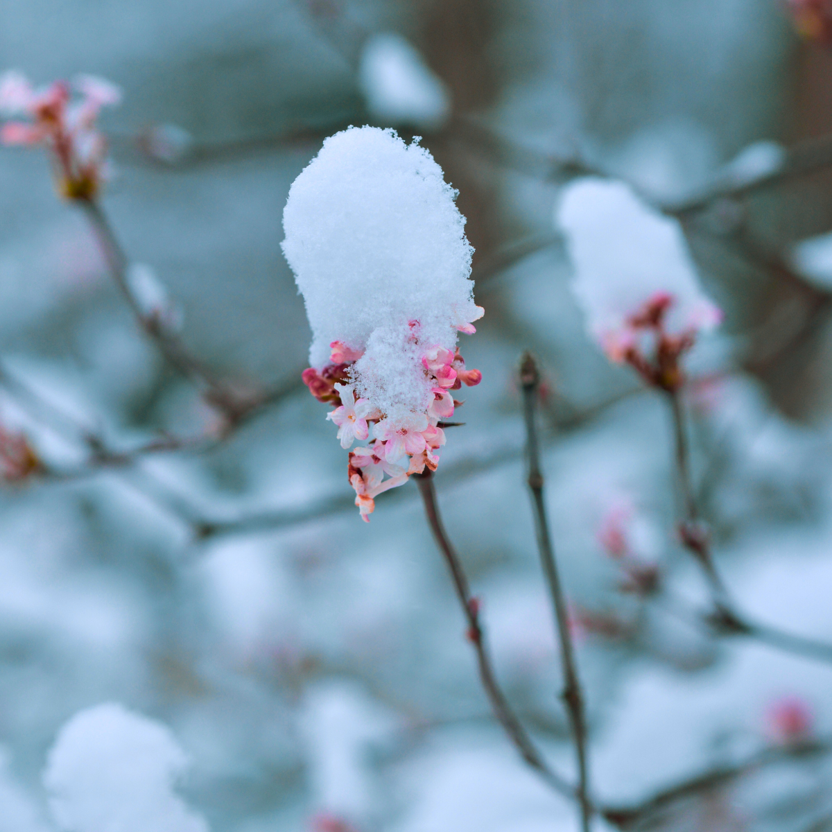 Our Favorite Winter Skincare Must-Haves